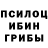 Галлюциногенные грибы Magic Shrooms Not_Solar101 MC