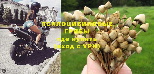 MESCALINE Богородск